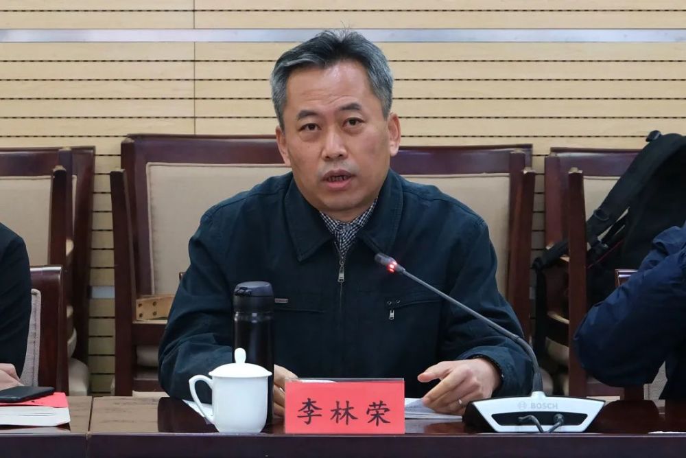 北京二外文化与传播学院教授李林荣发言 北京二外文化与传播学院教授