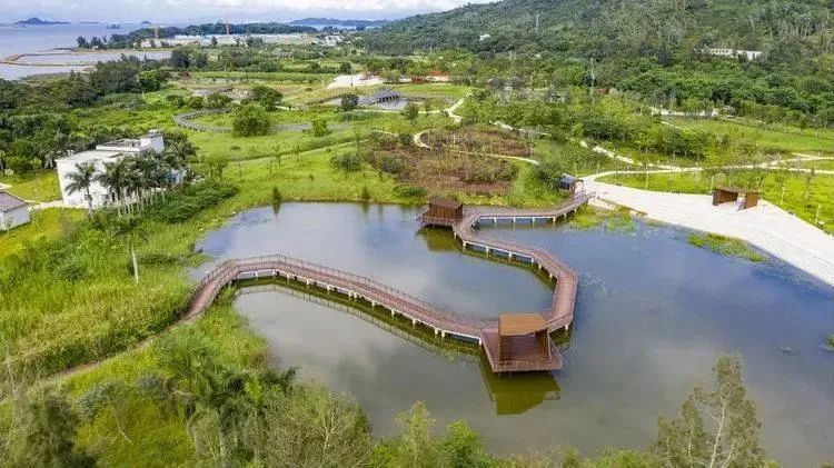 深圳团队出游探秘大鹏的山川湖海