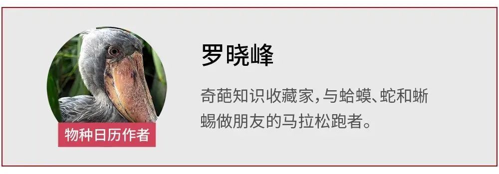 上海市政府：为确保安全本市学校2月底前不开学夫妻网站