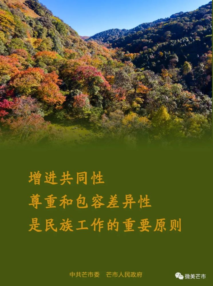 民族团结月海报增进共同性尊重和包容差异性是民族工作的重要原则