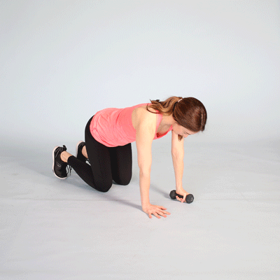 鸟狗式—可能是你深蹲腰痛最好的改善方法!|深蹲|健身