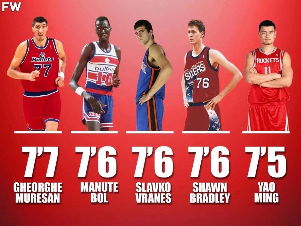 博班·马里亚诺维奇 美媒列出了NBA历史上最高的14名球员，姚明入选