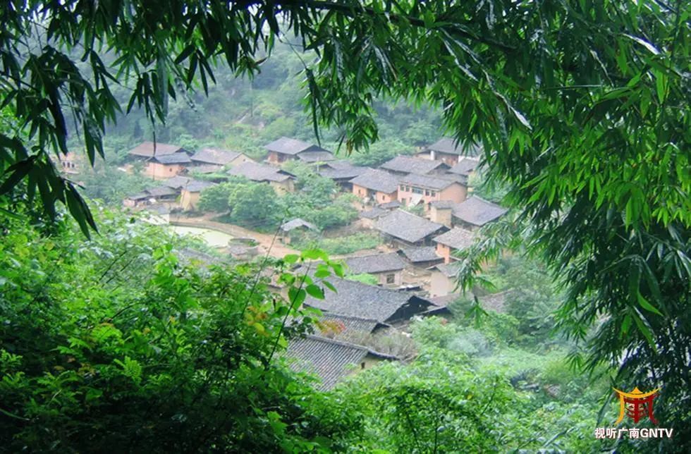 仙草资讯:广南杨柳井六郎城村换"新貌"-仙草资讯-仙草药业官网