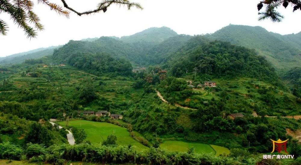 广南县杨柳井乡六郎城村村民  文向武:"当时侬智高的兵在这里扎营,在