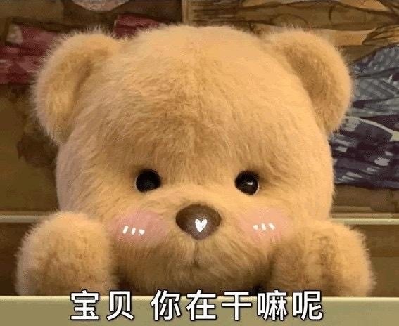 teddytales 莉娜熊呆萌搞怪表情包