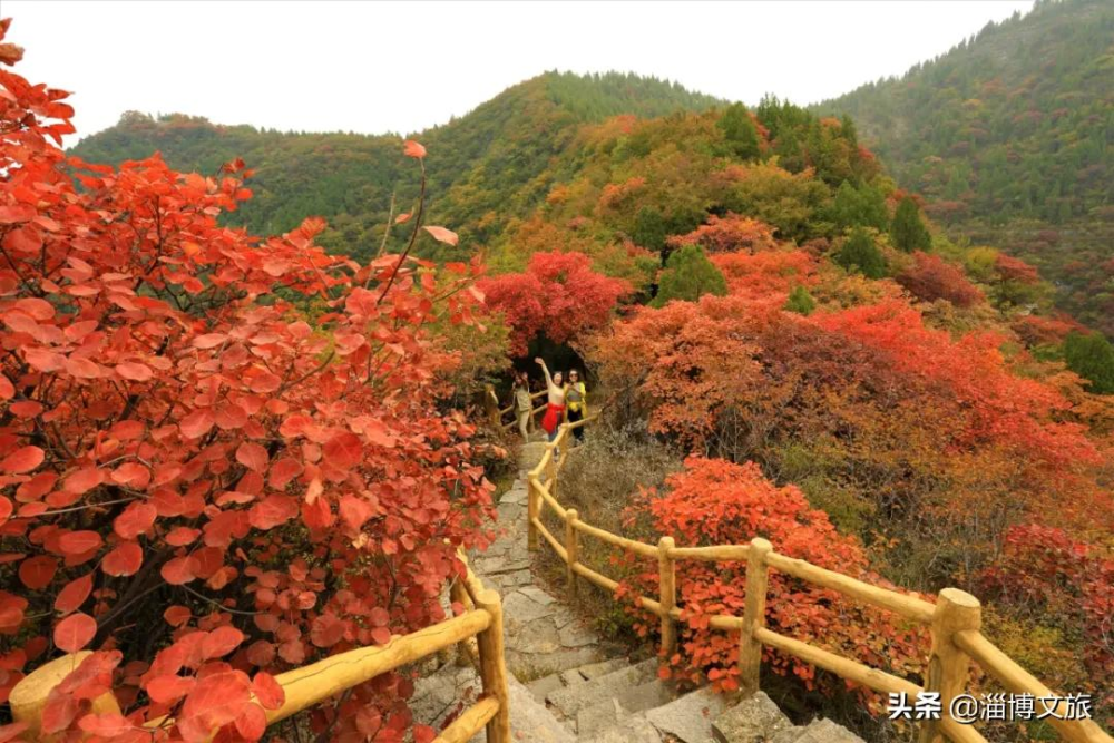 淄川红叶景点大全图片