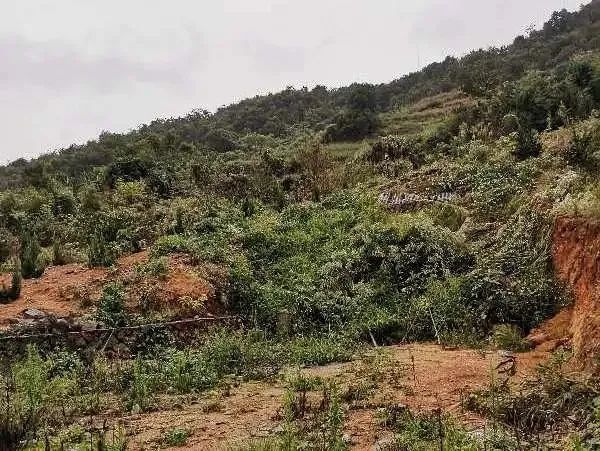 福鼎违建曝光台沙埕镇多处
