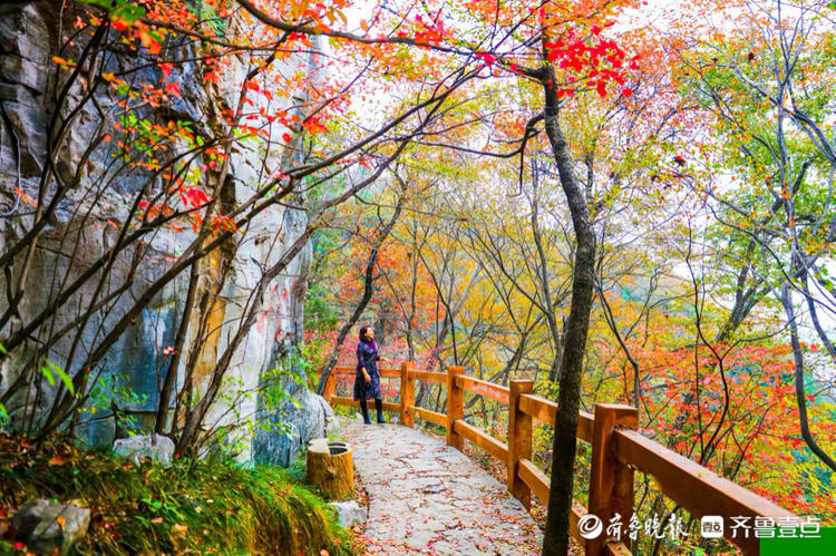 多彩斑斓的枣庄抱犊崮