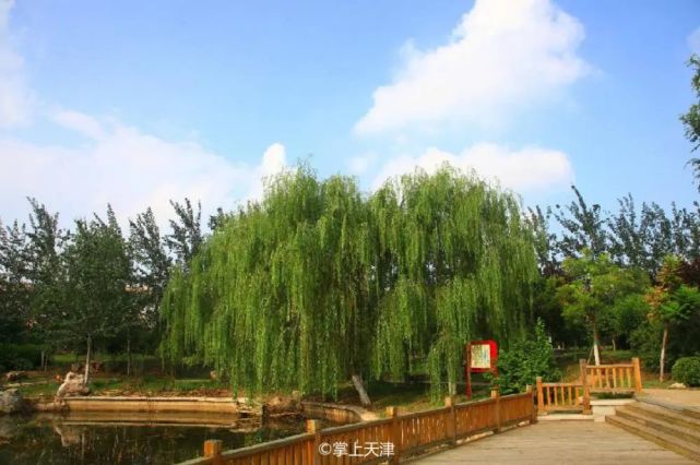 賓悅橋下賓悅公園,有池塘,葦草,涼亭,拾階而上,曲徑通幽.