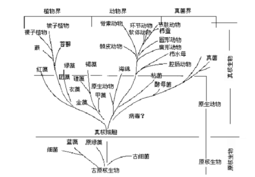 在千百年的進化