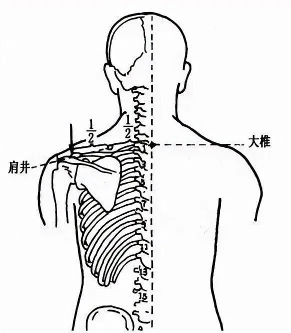 穴位就是中藥,經絡就是藥房!經常按摩穴位,太有用了!收藏吧