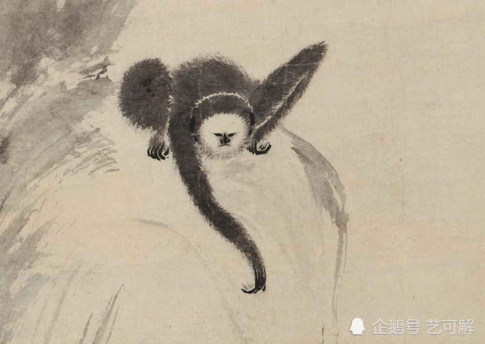 古画奇妙动物知多少曾有一种长臂猿现已灭绝乾隆还看过新几内亚岛的食