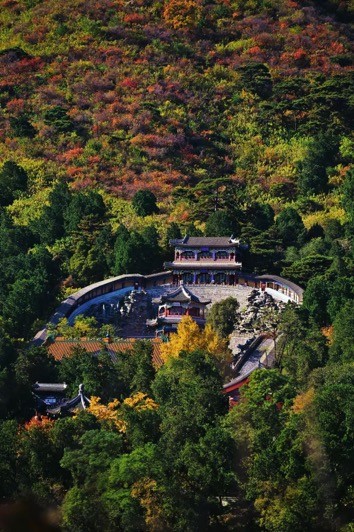 北京香山公园红叶变色率已达70%!明起本端可赏高清美景