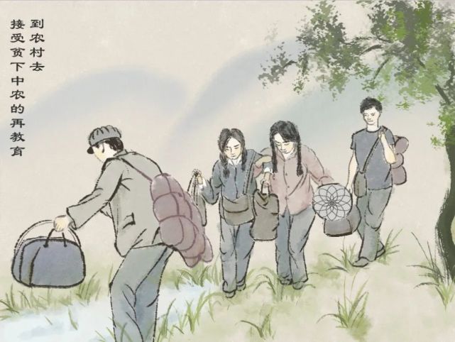 湖湘广记岁月如歌我的知青经历