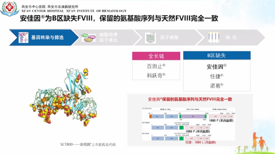 血液大咖谈第七讲人凝血因子Ⅷ抑制物相关进展