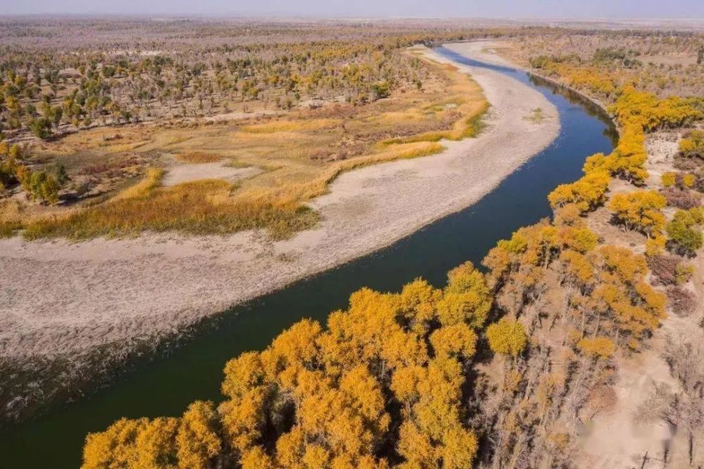 博斯腾湖向孔雀河中下游胡杨林区输送生态水超2亿立方米_腾讯新闻