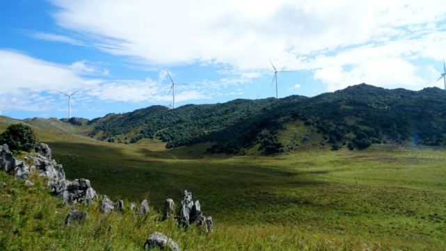 【行摄宾川】花草遍地羊群滚 这里是秋不似秋|宾川县|高山草甸|乌龙坝