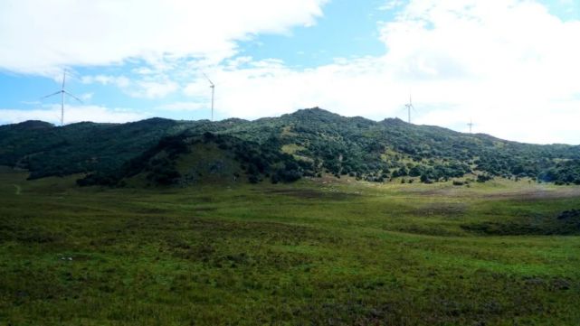 賓川縣烏龍壩高山草甸位於賓川縣城西南部,地處賓川縣賓居鎮,大營鎮