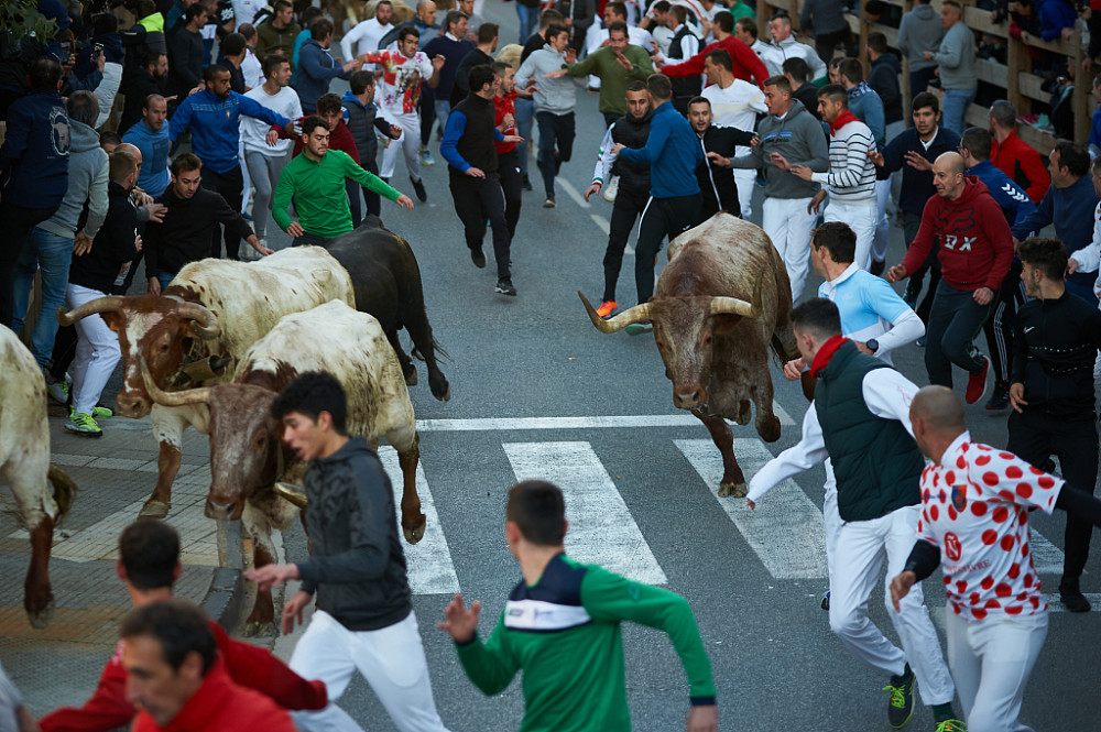 西班牙奔牛节一男子被牛顶死_腾讯新闻