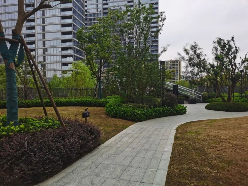 房子质量排行_青岛西海岸新区“先验房后收房”模式获全省推广