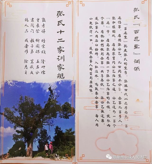 家风家训传承教育基地,讲解员带领大家了解了张氏,杨氏两家的家规家训