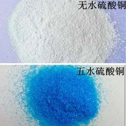 舟山一初中男生,误将硫酸铜溶液当成水喝了下去……_腾讯新闻