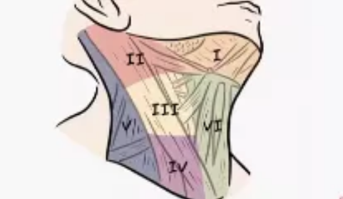 颈部肿块不要慌,正确方式辨别它!专家科普来了_腾讯网