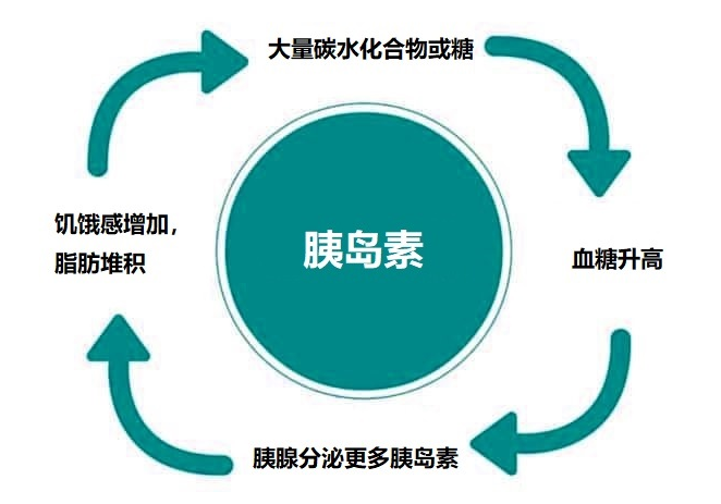 胰岛素抵抗是咋回事