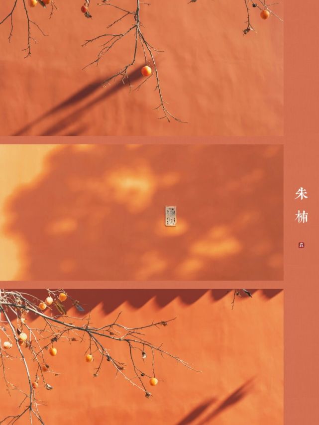 古色故宫朱柿