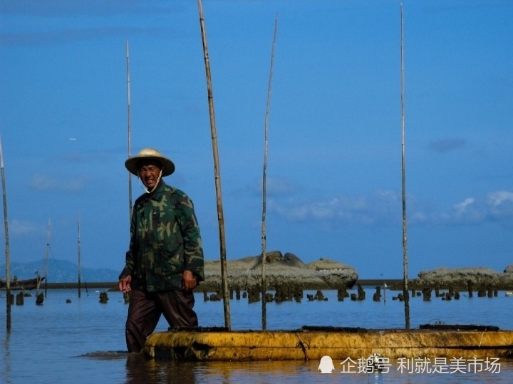 橫琴新區,珠海高新技術產業開發區,珠海保稅區,珠海高欄港經濟區,珠海