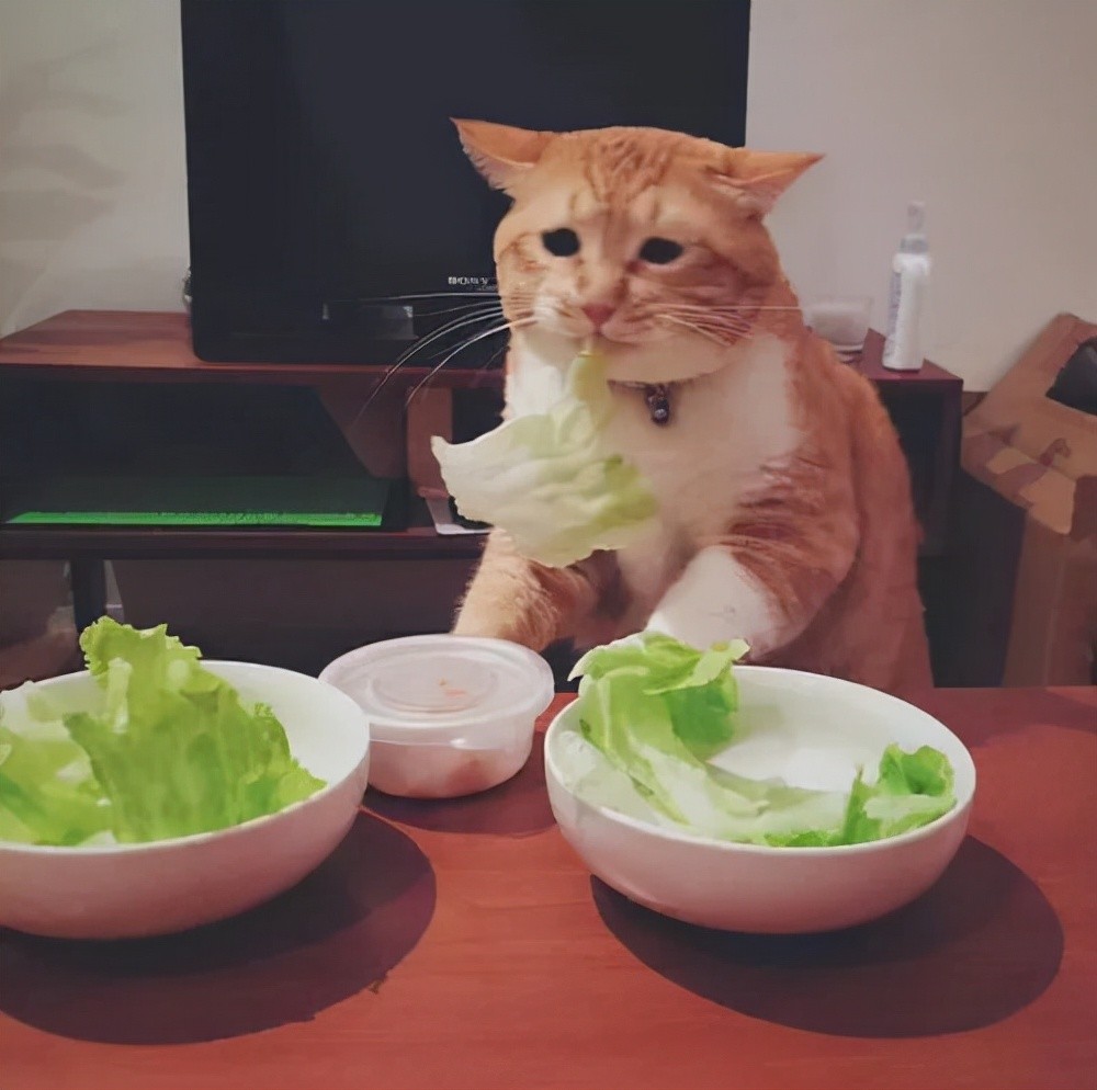 为什么吃得少还容易发胖？你有没有发现可能是你吃错了？如何正确的吃东西你知道多少呢？