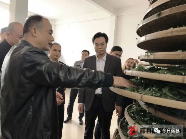 (藤县融媒体中心11月1日讯)10月30日,县长蒙中平到金鸡镇,岭景镇,象棋
