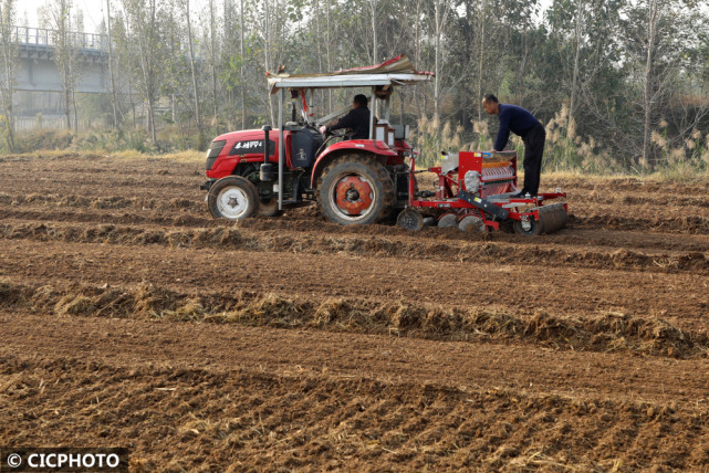 冬小麦播种忙