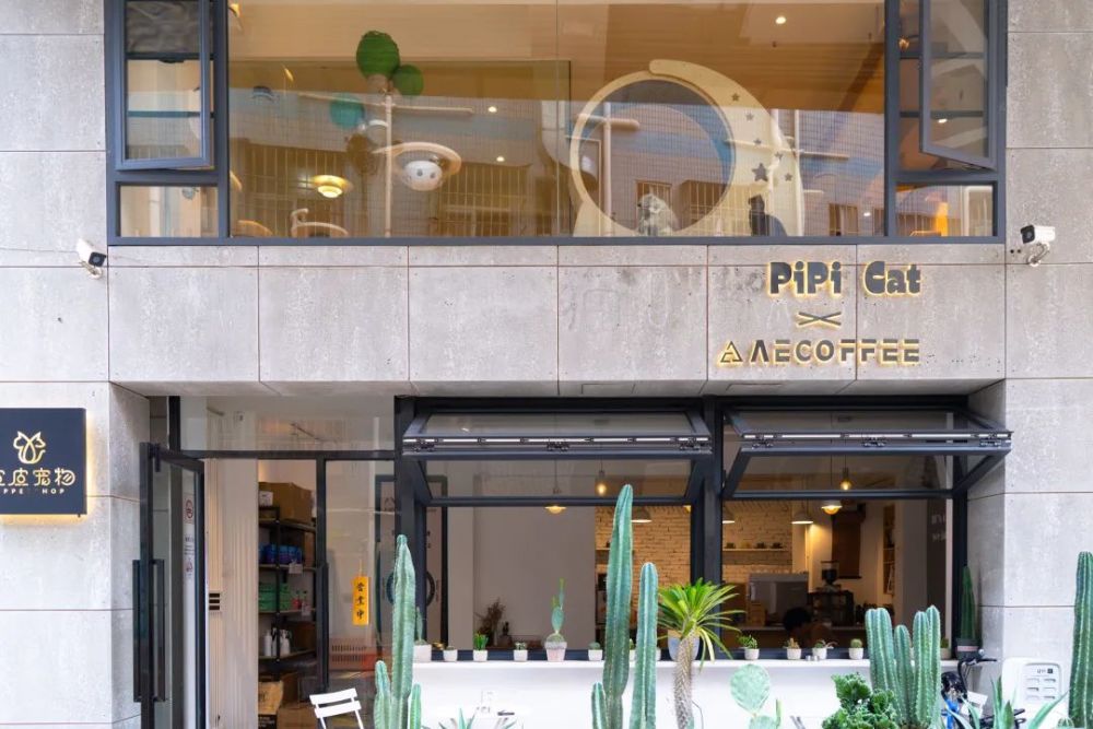 皮皮猫咖·撸猫·aecoffee【店铺地址】广东省深圳市罗湖区莲塘街道