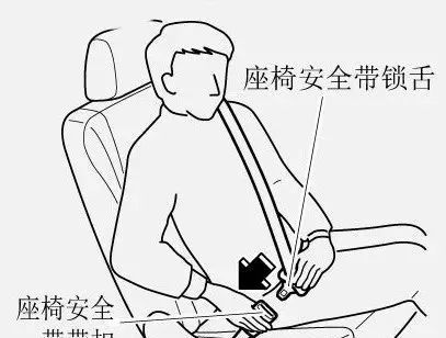 将安全带的卡扣插入锁盒内,卡扣会发出"啪"的一声,轻拉安全带,确保