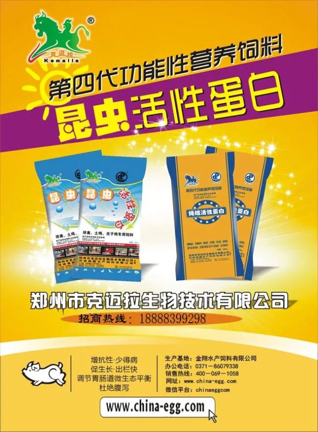 昆虫蛋白·开创无抗养殖新时代黑水虻,蝇蛆活性蛋白营养·无抗·保健