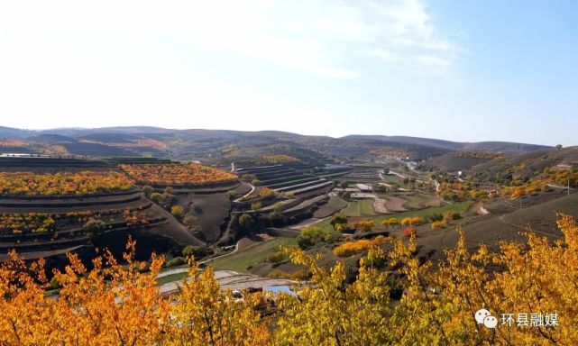 图文丨环县醉美秋景
