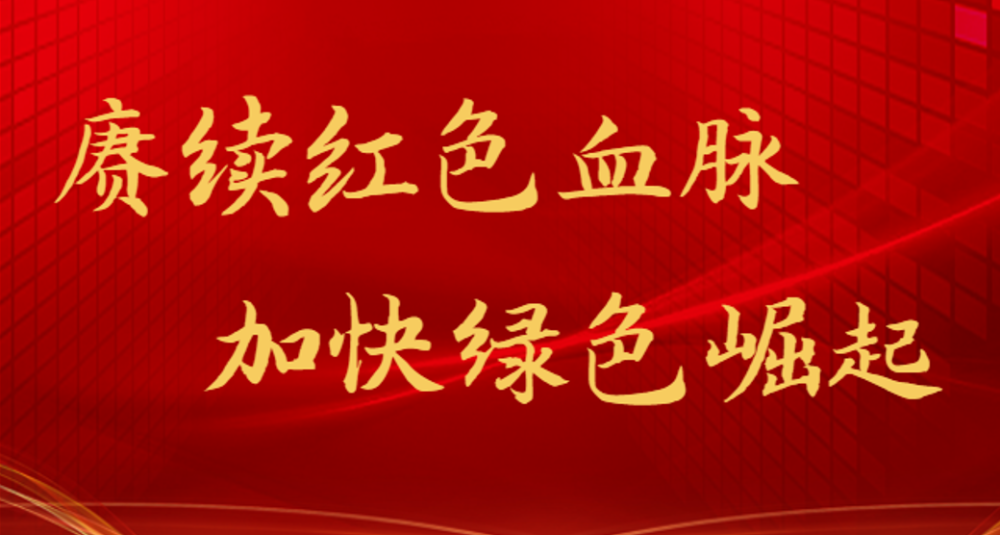 遵循规律干下定决心干盯住产业干 着力构建生态优先绿色低碳的产业