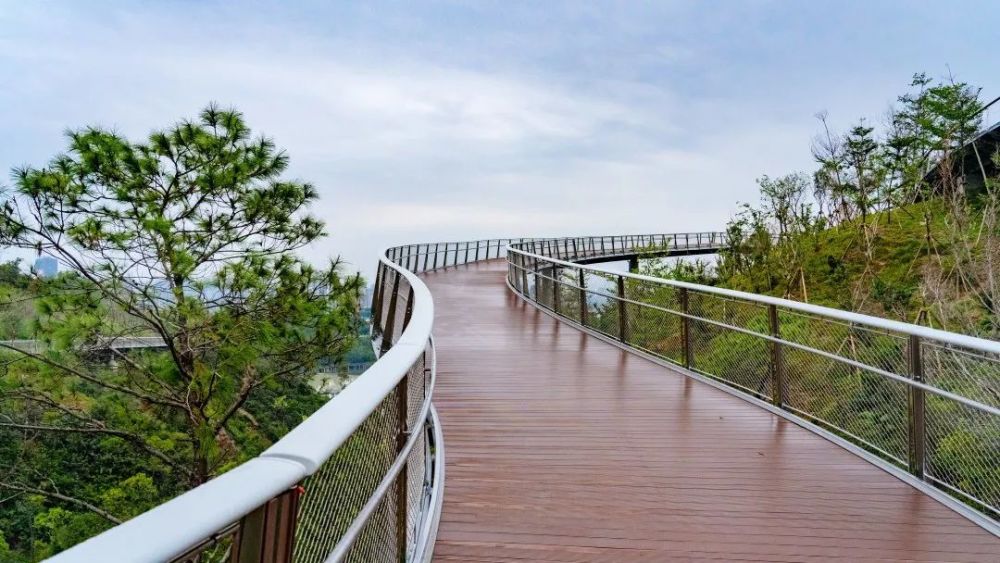 漫步山水间珠海这段最美云道试运营开放