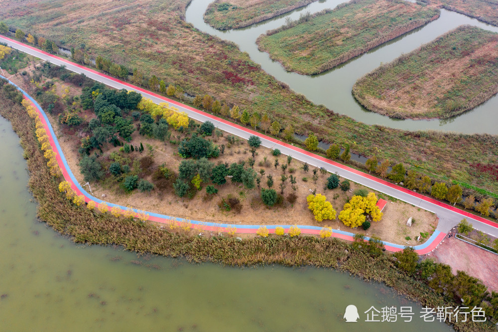 博兴麻大湖国家湿地公园这样的旅游景点你知道吗