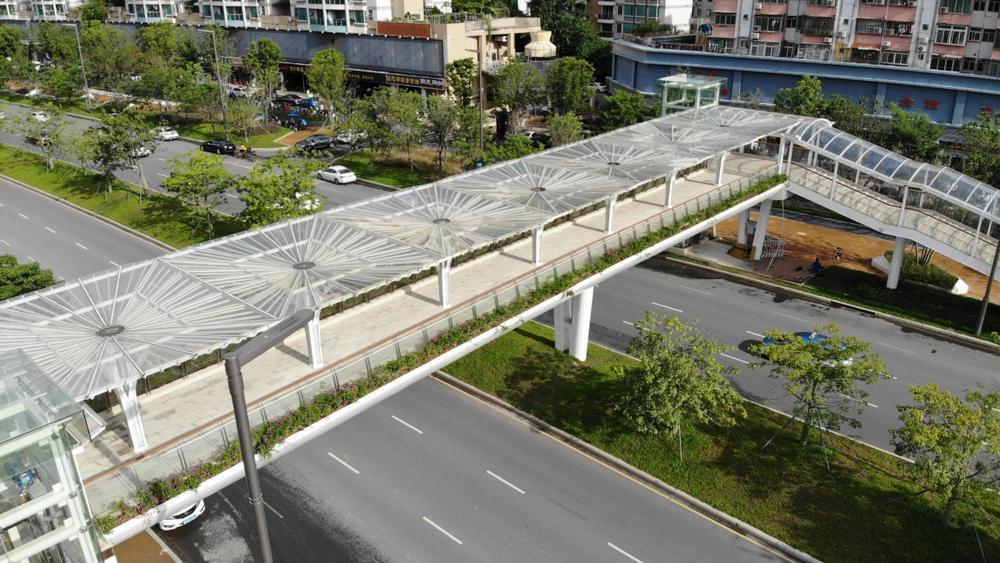 深圳南山这3座靓丽天桥投入使用