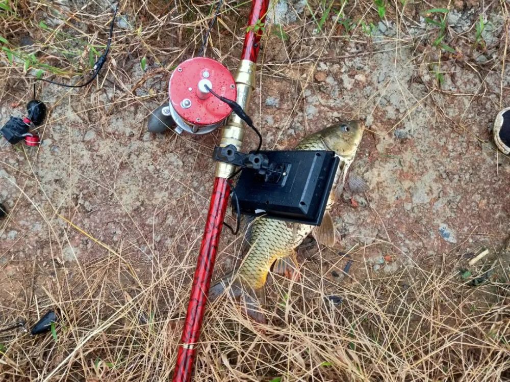 网购可视锚鱼器非法捕鱼结果被修文民警抓个正着