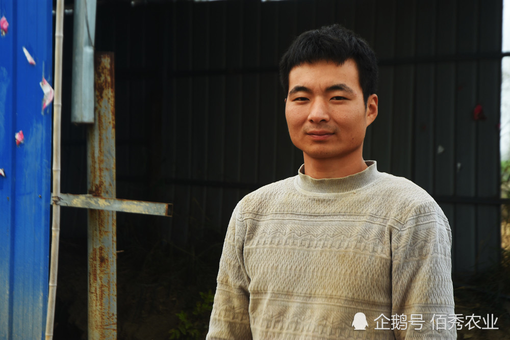 红薯收获后,怎样做才能保存5个月以上,农村小伙有窍门