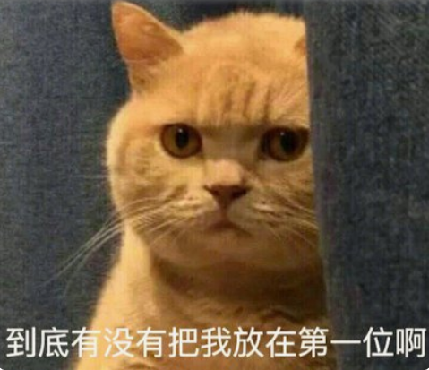 全网家庭地位最高的男人曝光后朋友圈的女人都慌了