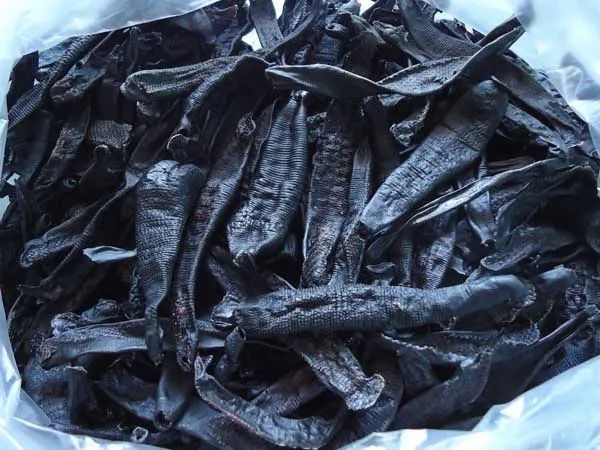 水蛭一药,最早见于《本经》称蛭蝚蜞,马蟥,马鳖,红蛭,蚂蟥蜞等.