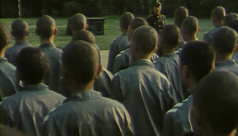 少年犯完整观看免费加长版1080p高清国语中字已更新