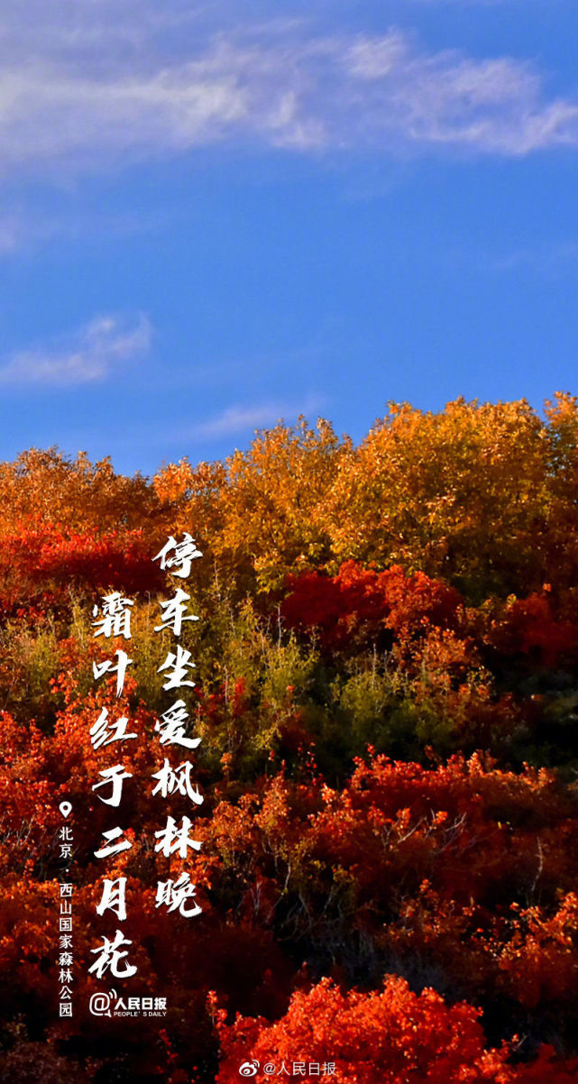 当秋日美景遇上古诗词 绝美!