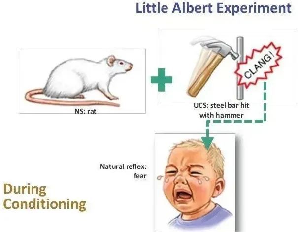 用心教育学考研|教育学人物专栏之——华生