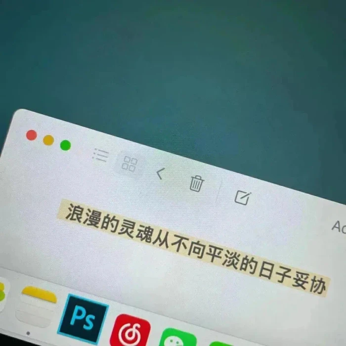 永远只做有且仅有的planda