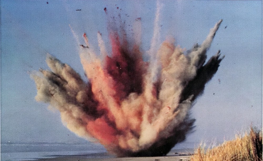 17年前，50吨鲸尸在闹市中爆炸，臭味宛如生化武器，路人非常绝望_腾讯新闻